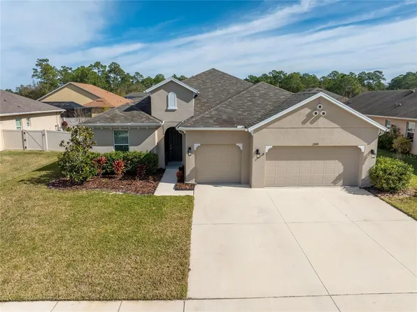27193 Hawks Nest Cir, Wesley Chapel, FL 33544