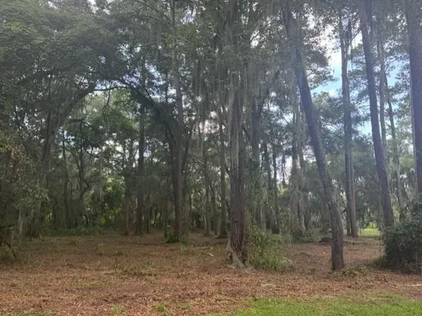 0 Old Cane Mill Dr SE Lot 6, Darien, GA 31305
