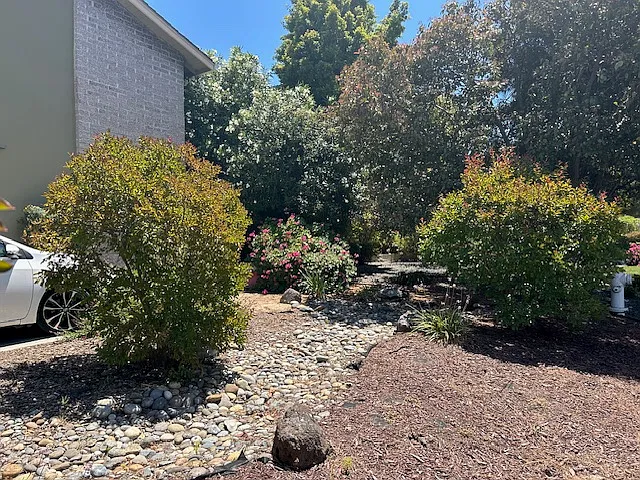 1716 Noranda Dr. Sunnyvale front yard