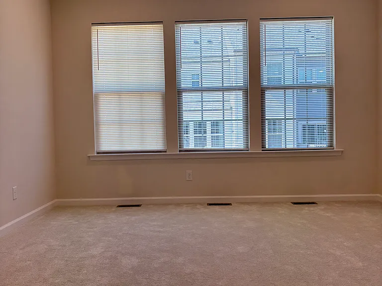 Living Room with Blinds New Pics