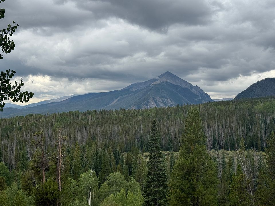 View from the deck in summer