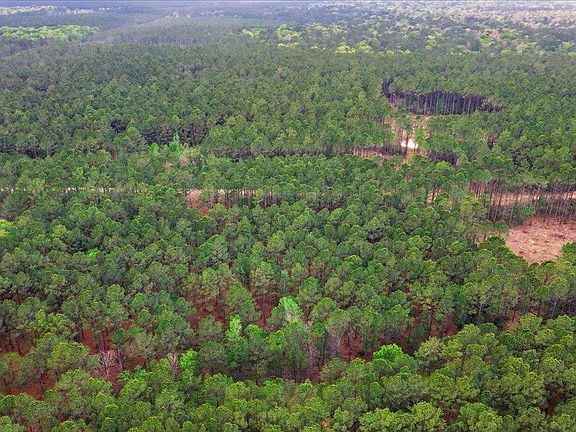 4th image of 16201 Rustric Ranch Rd