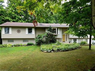 8025 Avon Lake Rd, Lodi, OH 44254