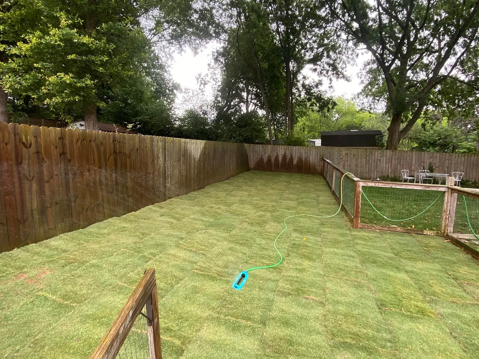 2 bed, 800 sqft, $1,590 — Photo 3