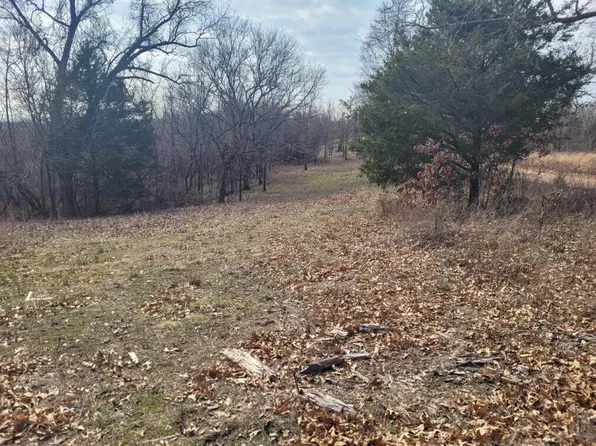 Lot 6 Songbird Road, Washburn, MO 65772
