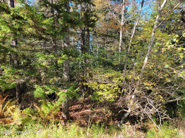 LOT 18& #19, Gouldsboro, PA 18424