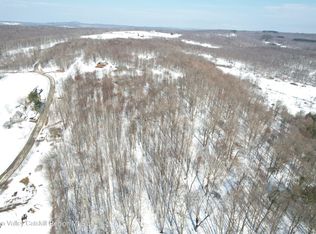 Tbd Stump Pond Road, Livingston Manor, NY 12758