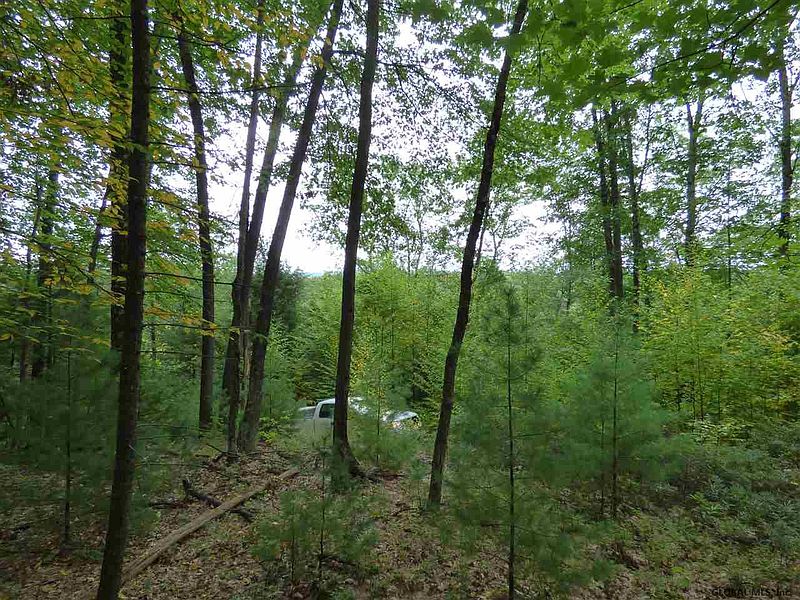 2nd image of 00 OLD WEST MOUNTAIN Road
