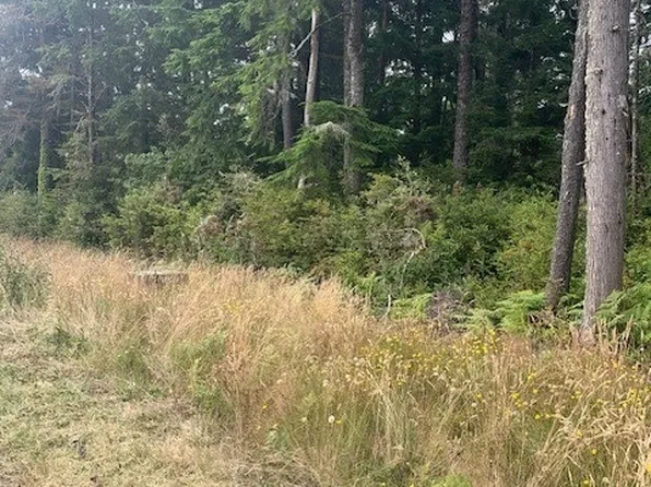 274 XX U Street, Ocean Park, WA 98640