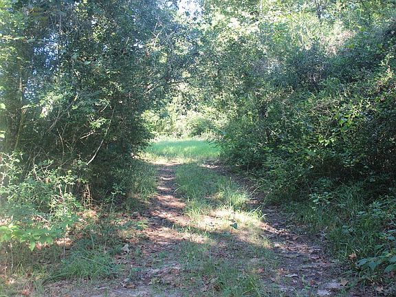 3rd image of 4931 County Road 302