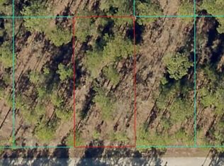Tbd1 Nw Tamarind Ln LOT 61, Dunnellon, FL 34431