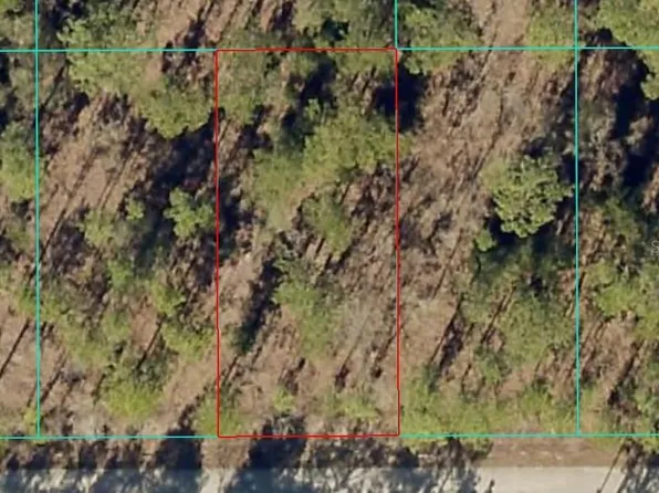 Tbd1 Nw Tamarind Ln, Dunnellon, FL 34431