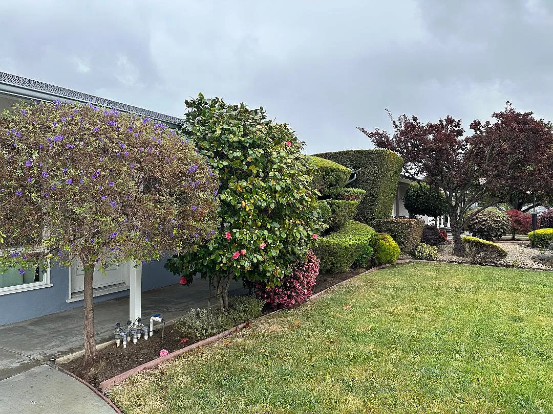2 bed, 880 sqft, $4,500 — Photo 3