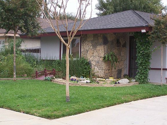 Front Yard