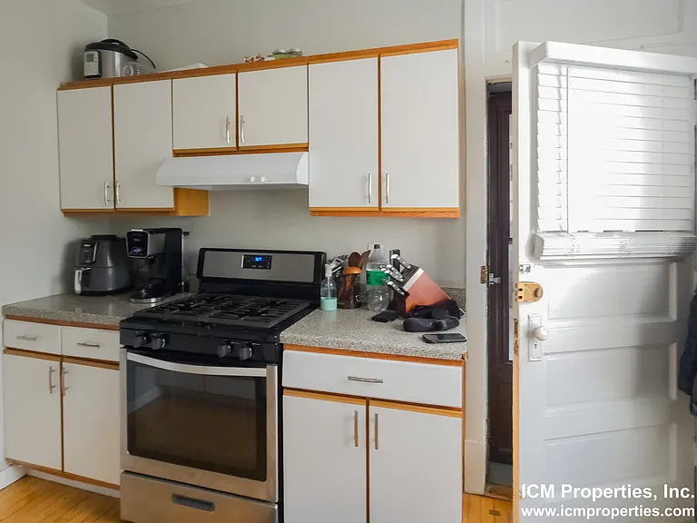 4517 N Greenview Ave #1 — Photo 3