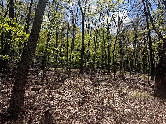 3rd image of Hedge Ln