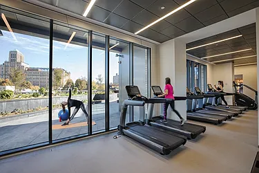 Rented by Gotham Organization