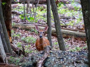 Hungaria Rd, Berkeley Springs, WV 25411