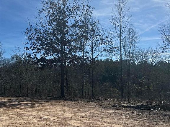 4th image of 1200 County Road 375 #1