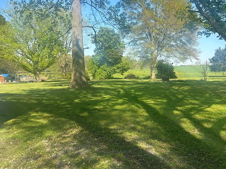 1379 School House Rd — Photo 11