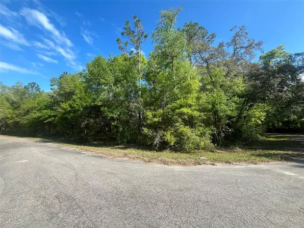 Guava Pass Ter Lot 8, Ocklawaha, FL 32179