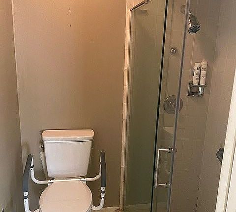 Mstr New Toilet walkn shower