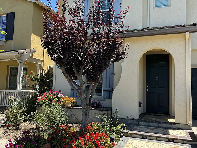 2025 Bright Willow Cir — Photo 16