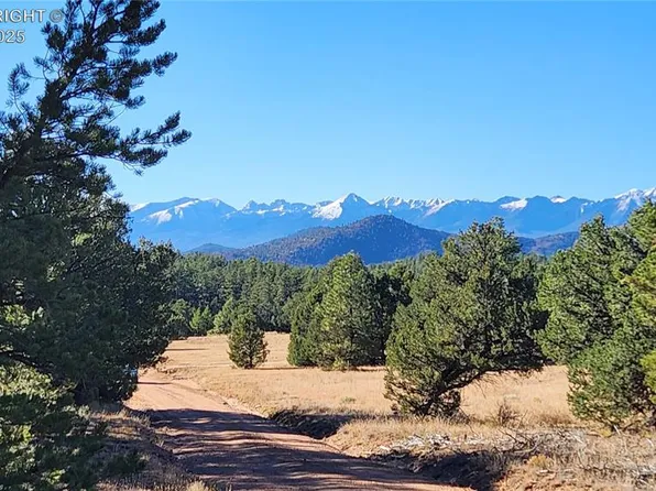 1238 17th Trl, Cotopaxi, CO 81223