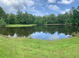 43361 E Heidelberg Rd, Franklinton, LA 70438