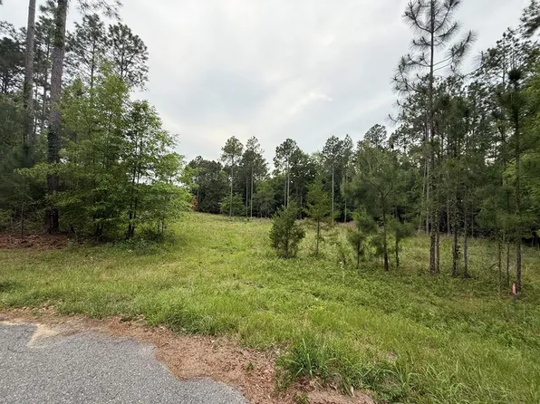30 Merganser Ln, Moultrie, GA 31768