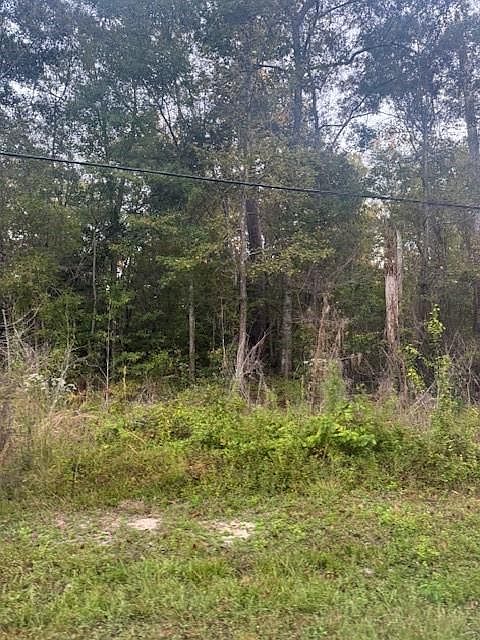 2nd image of Will Richardson Rd