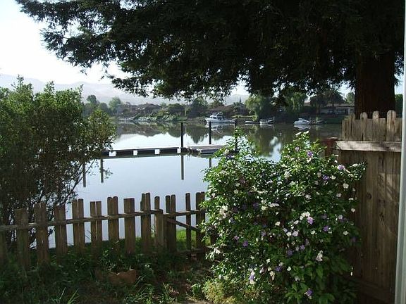backyard view