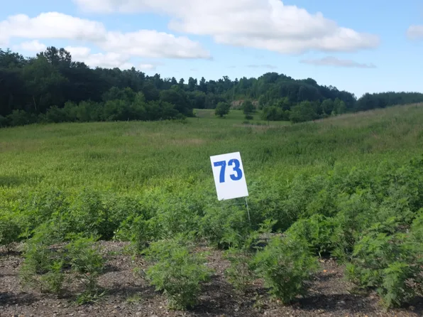 73 Bull Lot Run, East Bernstadt, KY 40729