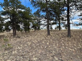 565 Brahma Circle, Hartsel, CO 80449