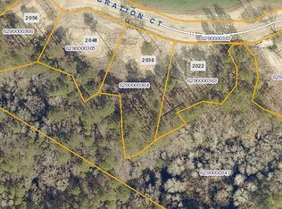 2036 Celebration Ct, Awendaw, SC 29429