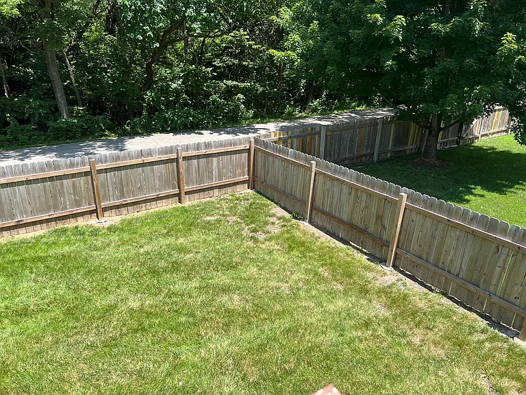 East corner of the yard