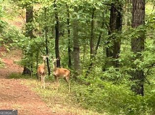 Bastonville Rd, Gibson, GA 30810