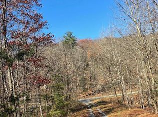 Hannah Ct, Yellow Spring, WV 26865