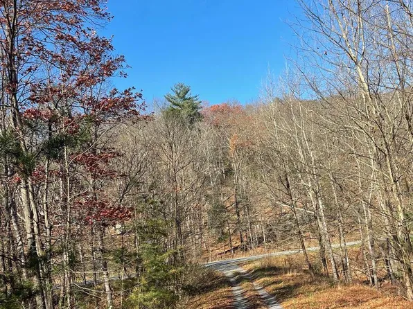 Hannah Ct, Yellow Spring, WV 26865