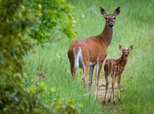 315XX Leaf River Rd TRACT C, Ottertail, MN 56571