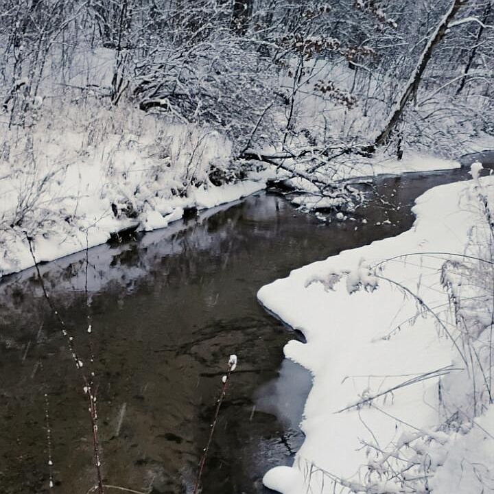 1st image of N V L N Dagget Rd N