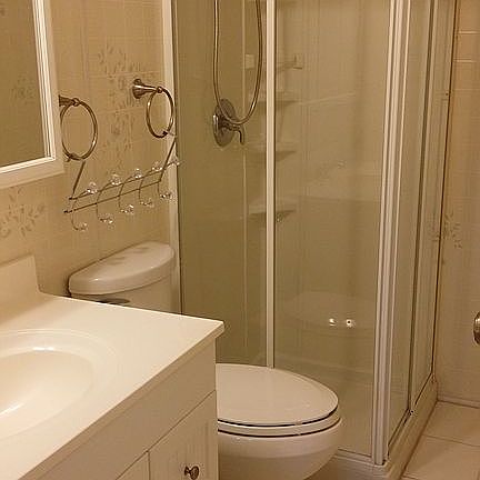 Hall bathroom