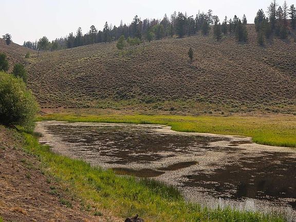 5th image of 42780 County Road 6YY, Gold Basin High Country Ranches #Tract 52