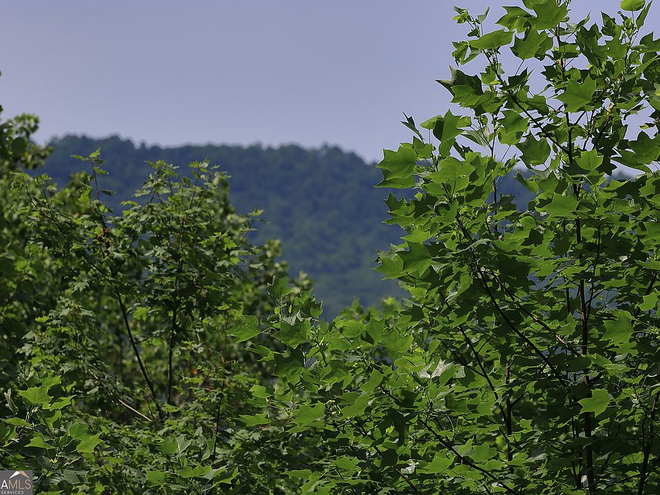 1st image of 29 Cool Spring Ln