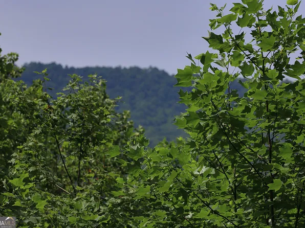 29 Cool Spring Ln, Clayton, GA 30525