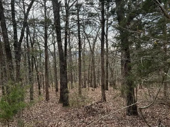 LOT 30 Mallard Dr, Lead Hill, AR 72644