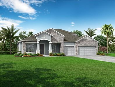 10054 Dolphin Gull Cir, Thonotosassa, FL, 33592