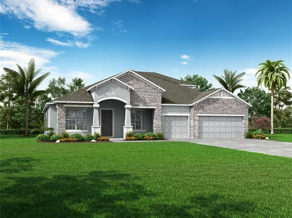 10128 Dolphin Gull Cir, Thonotosassa, FL 33592