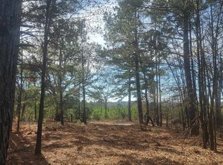 Brandy Rd, Diana, TX 75640