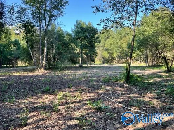 1 75/ Ac Old Union Rd, Grant, AL 35747